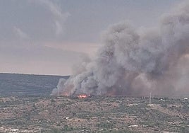 Imagen del incendio en Teresa de Cofrentes.