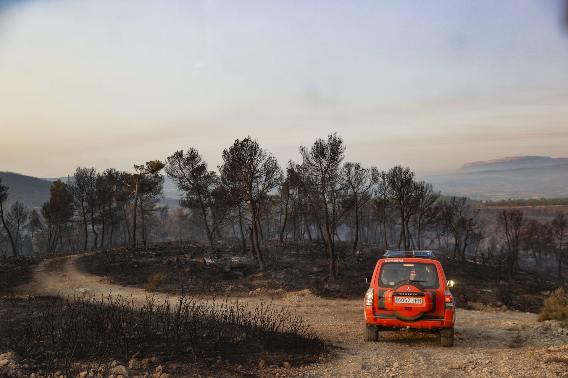 El incendio de Teresa de Cofrentes, en imágenes
