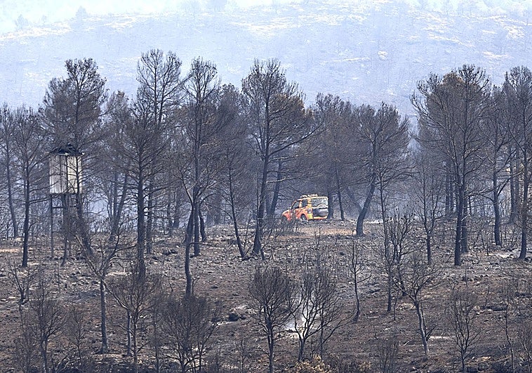 Situación en Teresa de Cofrentes.