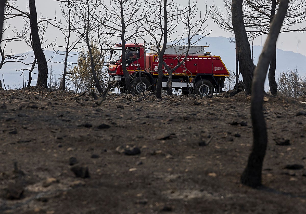 Efectivos en Teresa de Cofrentes.