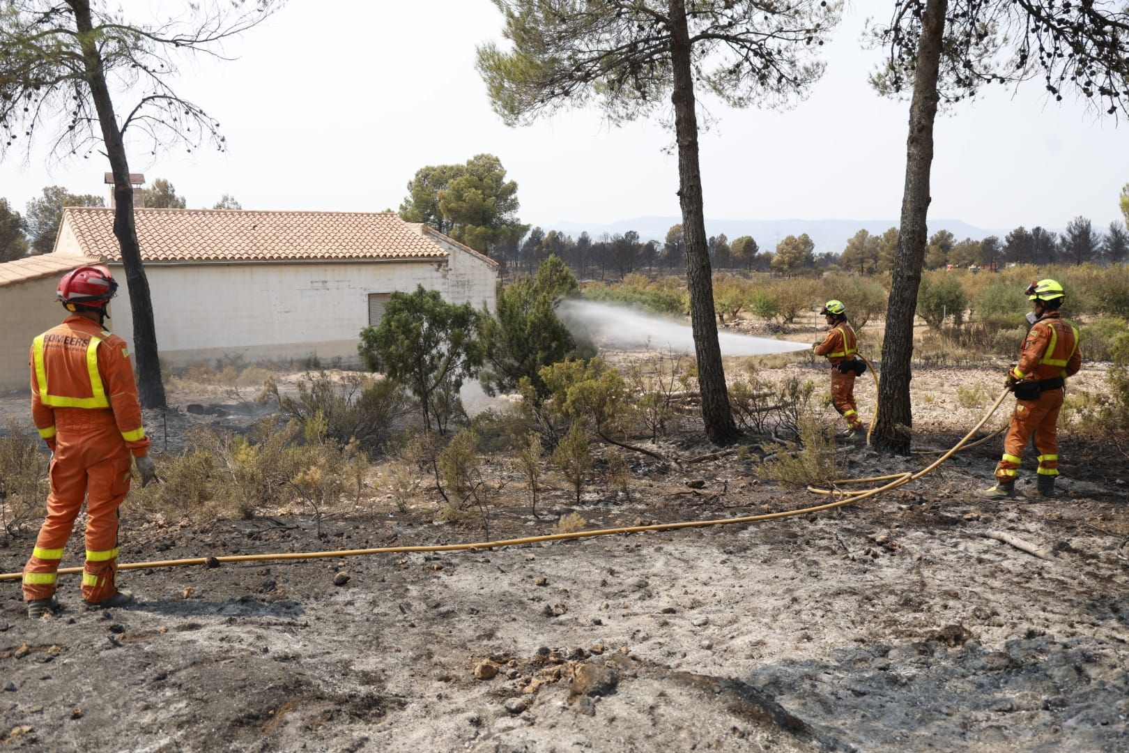 El incendio de Teresa de Cofrentes, en imágenes