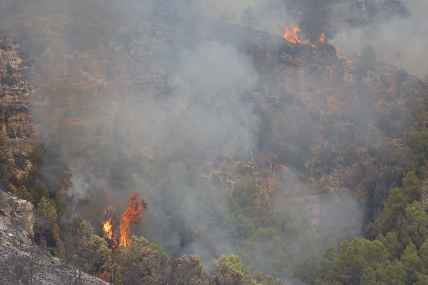 El incendio de Teresa de Cofrentes, en imágenes