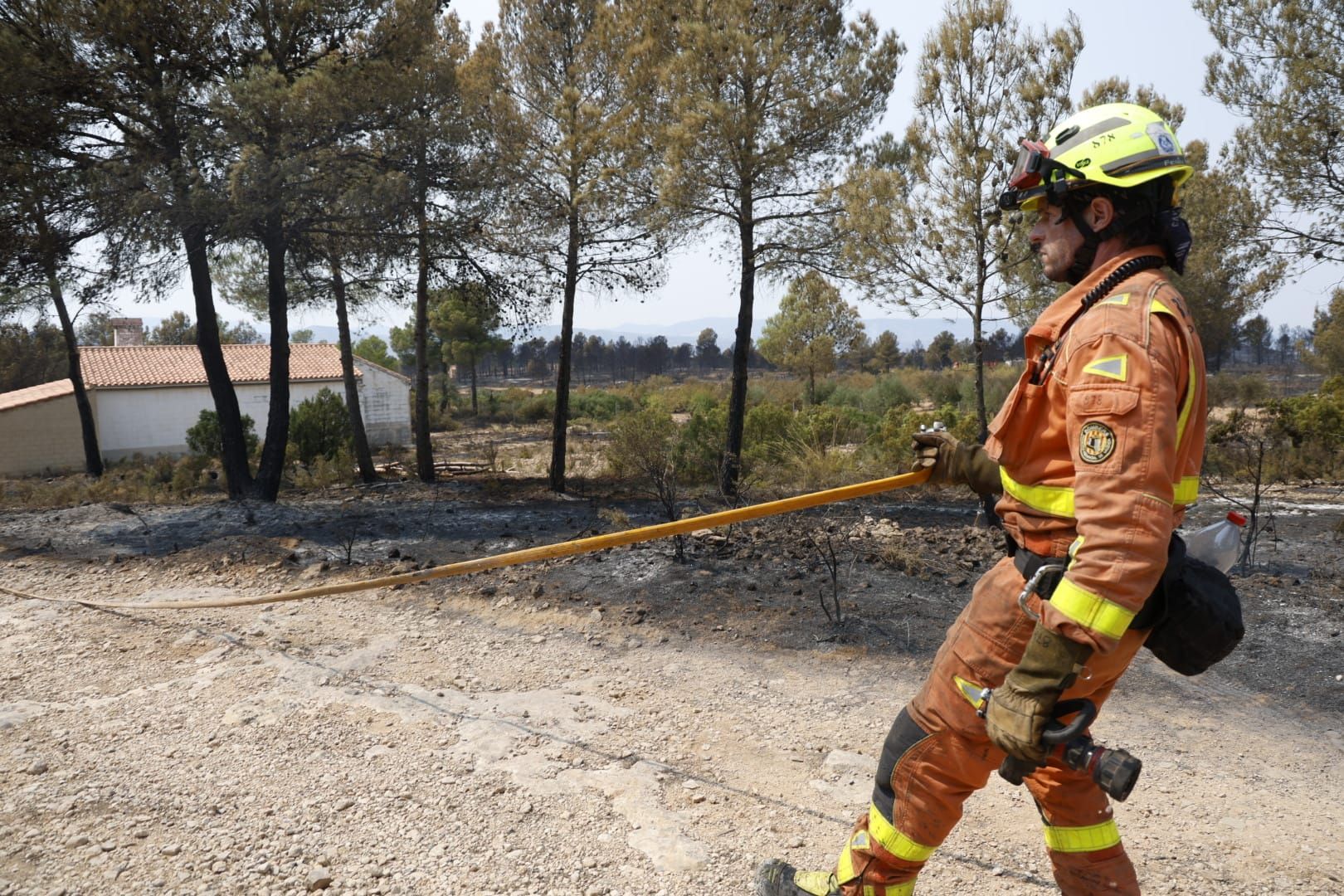 El incendio de Teresa de Cofrentes, en imágenes