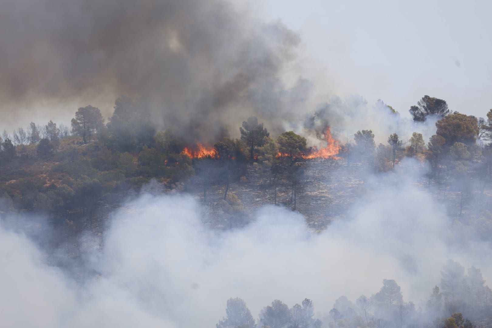 El incendio de Teresa de Cofrentes, en imágenes