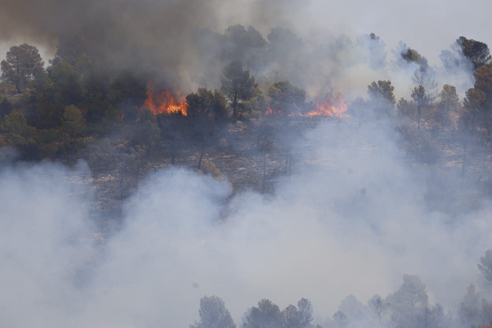 El incendio de Teresa de Cofrentes, en imágenes
