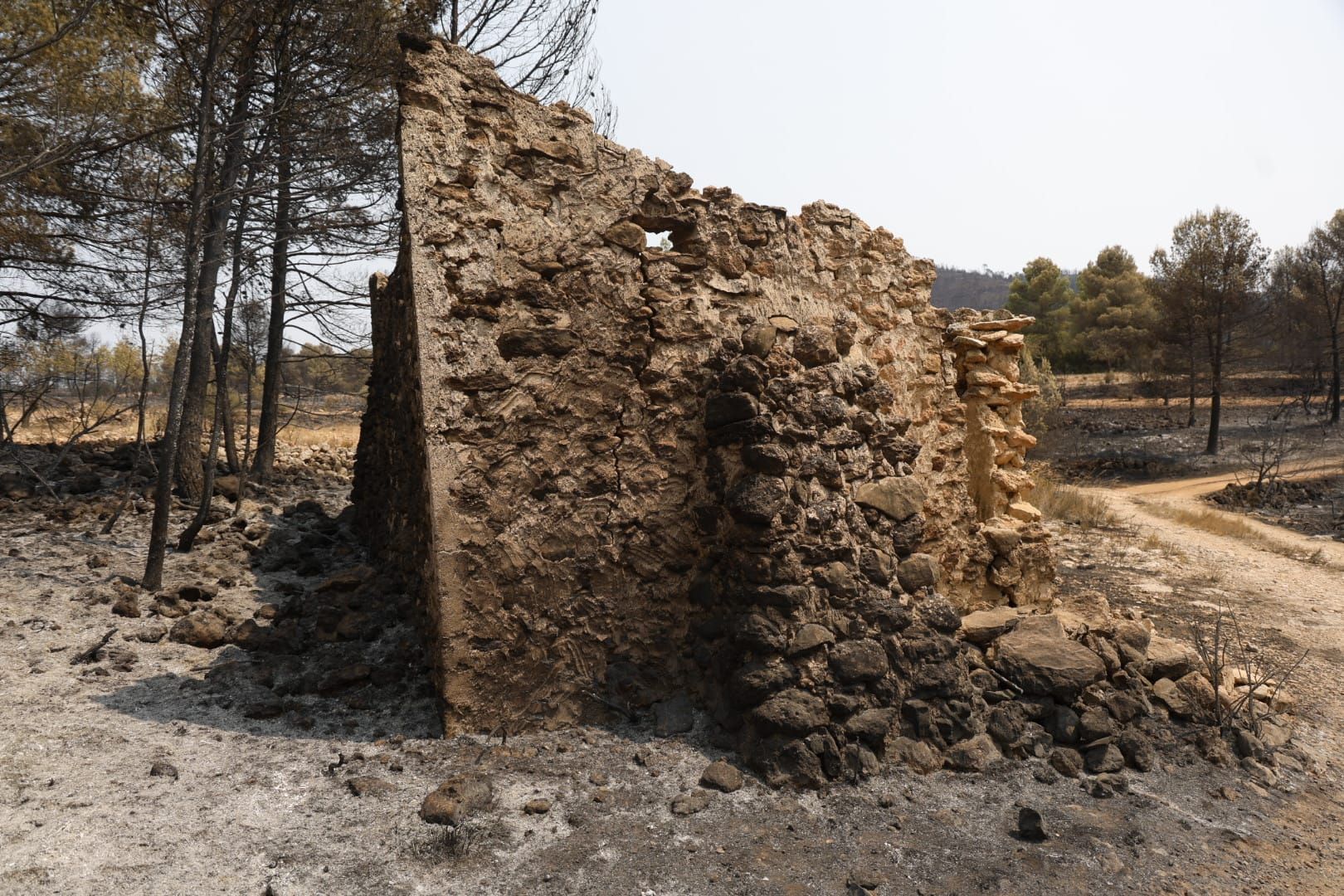 El incendio de Teresa de Cofrentes, en imágenes