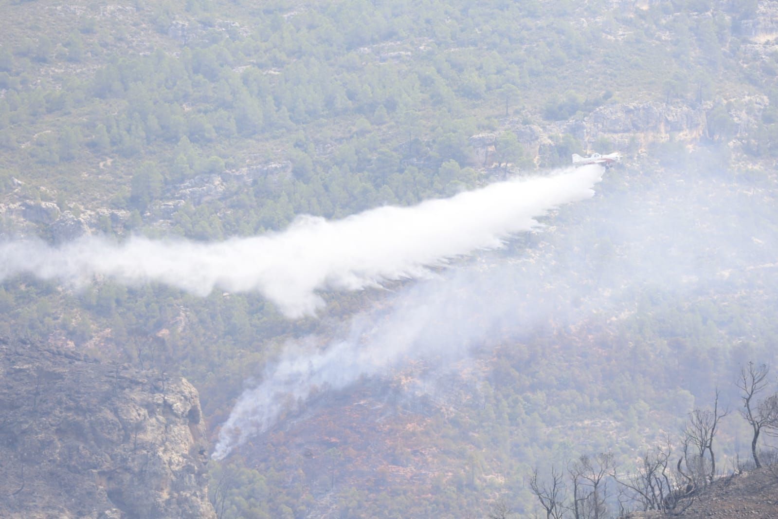 FOTOS | Incendio forestal en Teresa de Cofrentes