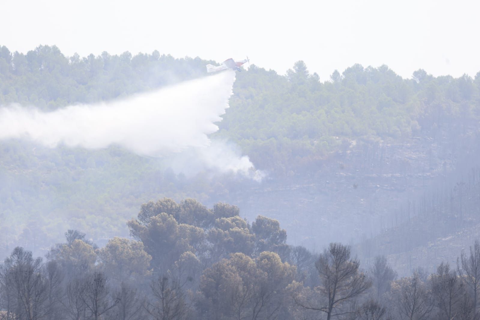FOTOS | Incendio forestal en Teresa de Cofrentes