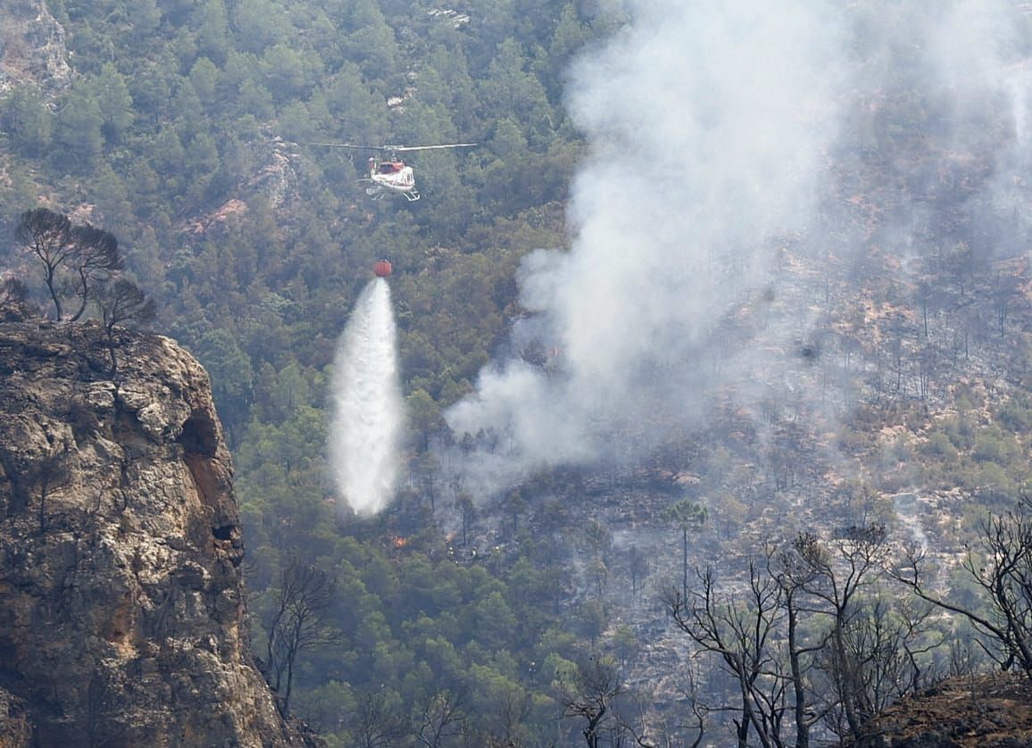 FOTOS | Incendio forestal en Teresa de Cofrentes