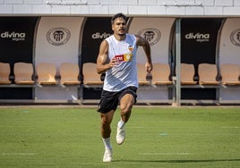 Ugrinic entrenado con el Valencia.