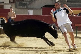 Entrada y prueba de ganado: toros y vaquillas