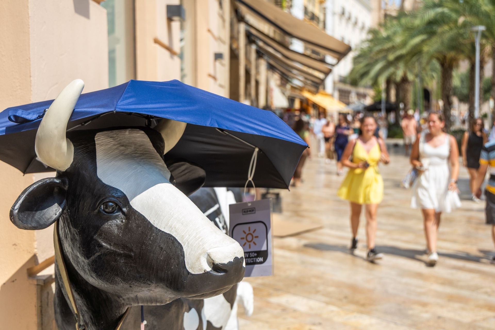 Valencia vive otra jornada de calor extremo