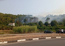 Columna de humo vista desde la carretera.