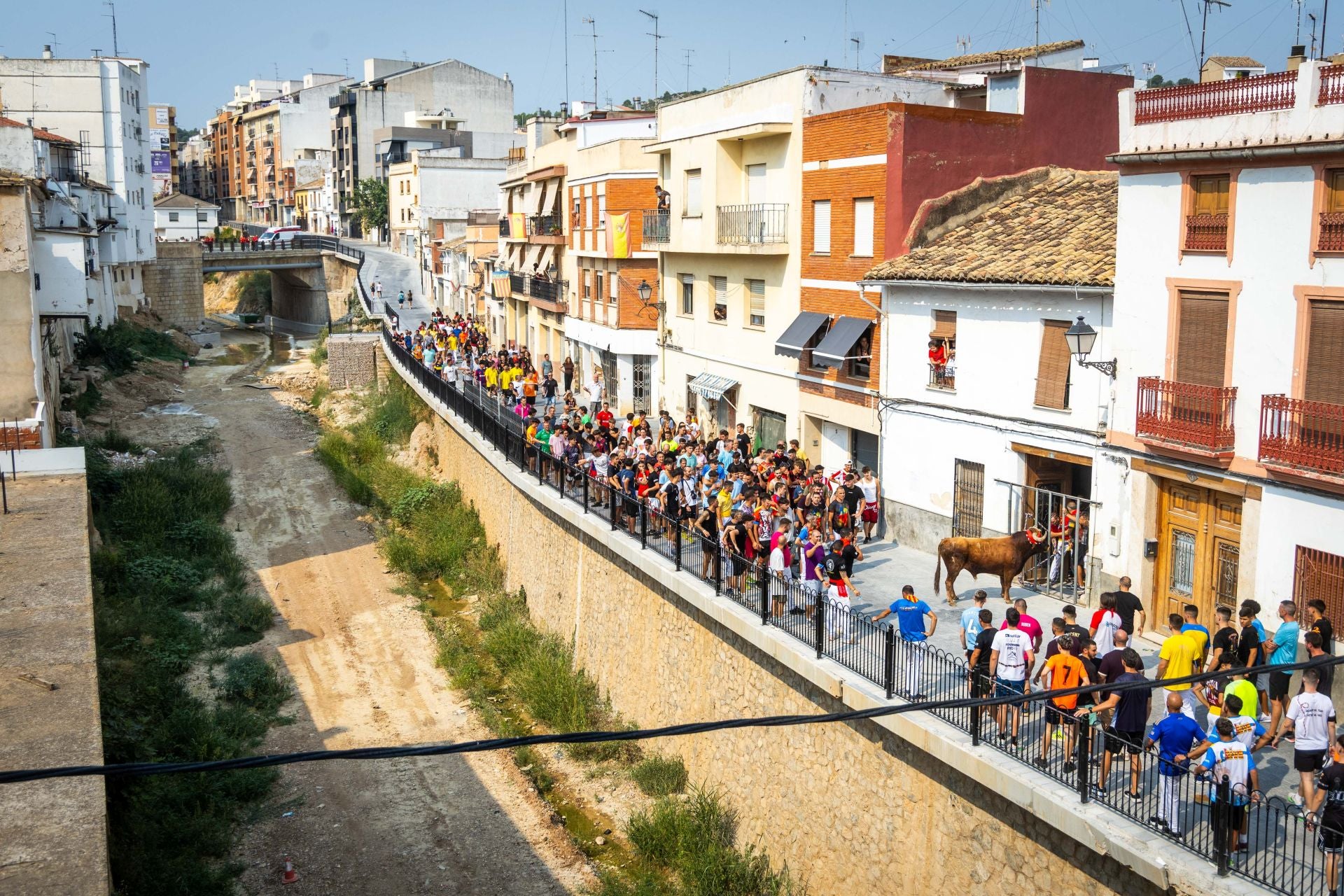 El Torico ya corre por las calles de Chiva como bálsamo contra la dana