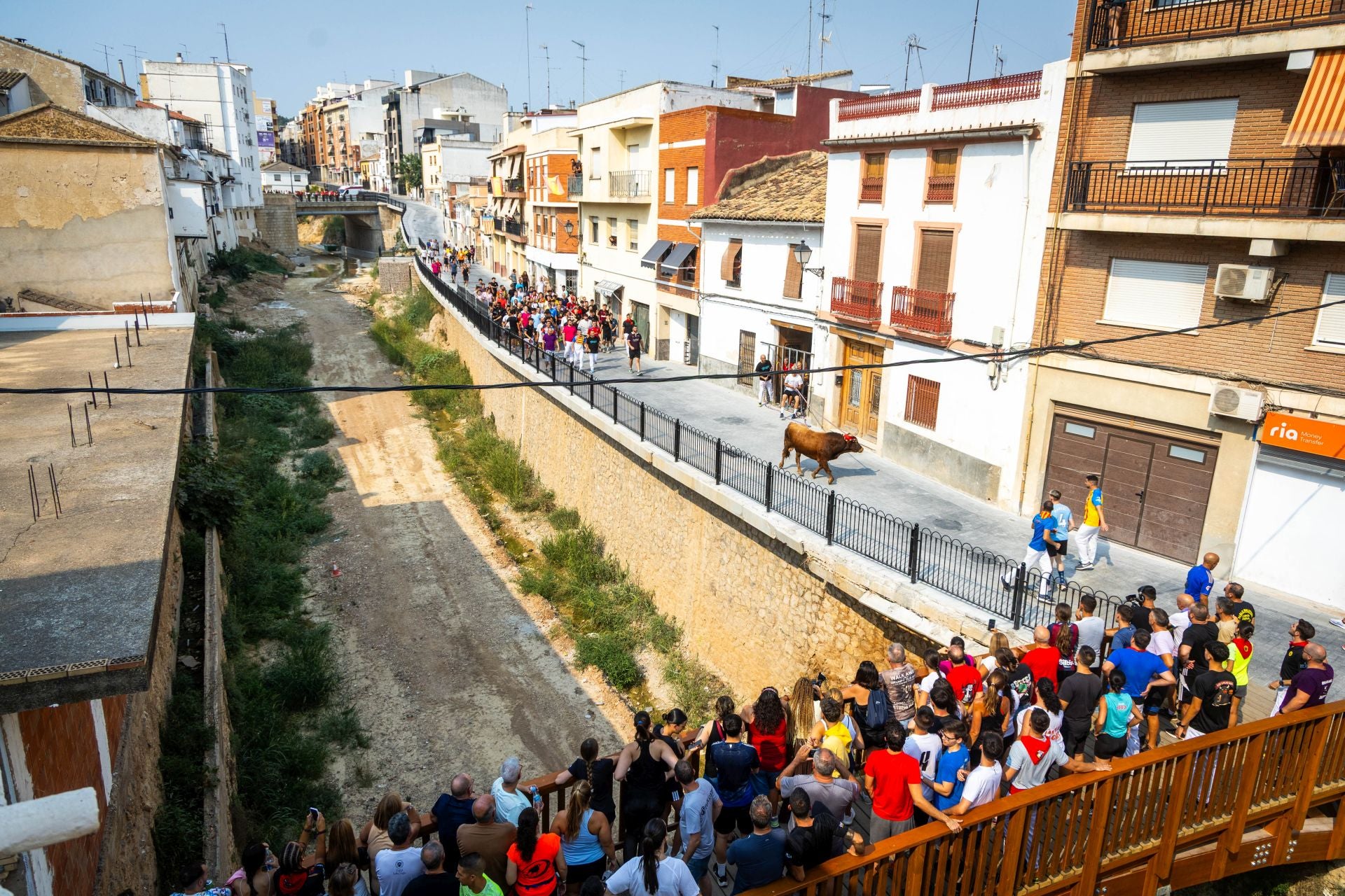 El Torico ya corre por las calles de Chiva como bálsamo contra la dana