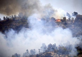 El incendio de Teresa Cofrentes, imagen del jueves.