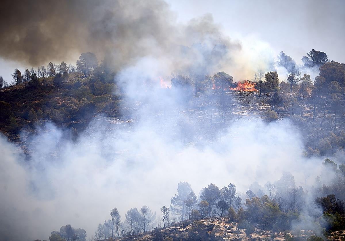 El incendio de Teresa Cofrentes, imagen del jueves.