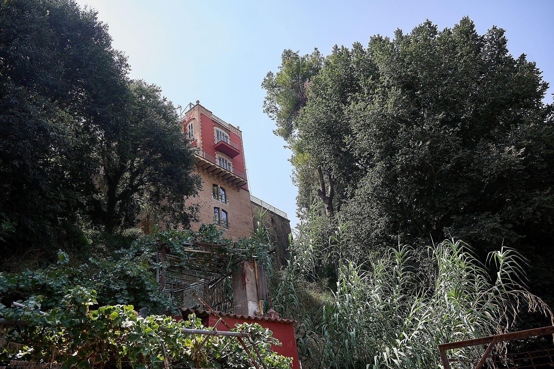 La maleza que invade las viviendas en Riba-roja