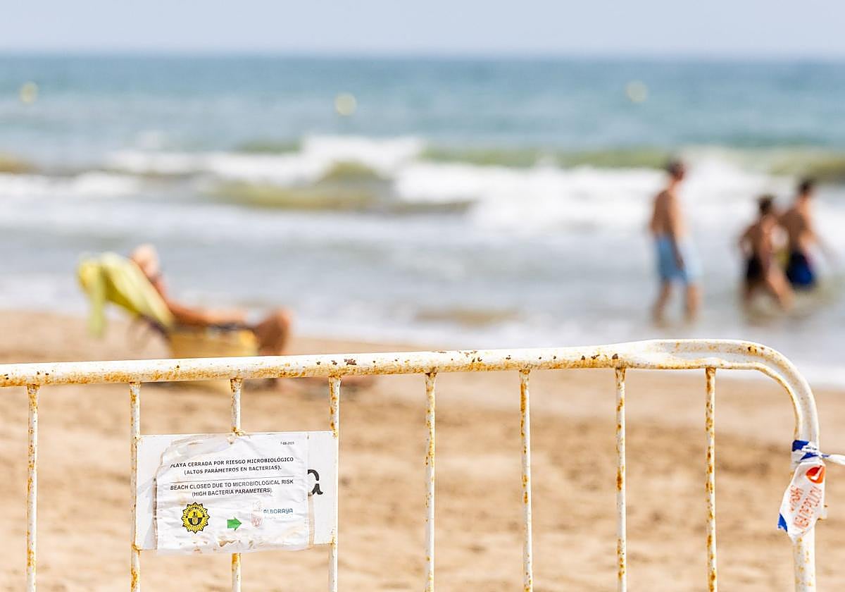 Port Saplaya, la playa contaminada y limpia al mismo tiempo