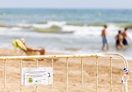 Port Saplaya, la playa contaminada y limpia al mismo tiempo
