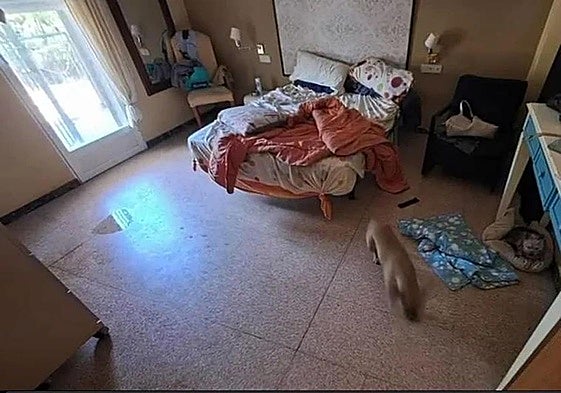 Estado de una de las habitaciones de esta vivienda clandestina.