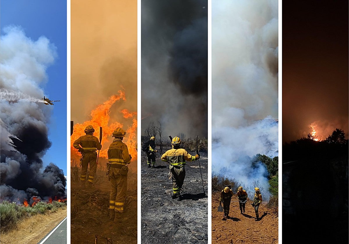 Varias imágenes del trabajo de Ricardo Pérez en Zamora.