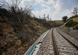 Así está hoy la zona en la que el tren con destino a Zaragoza se vio envuelto por las llamas.