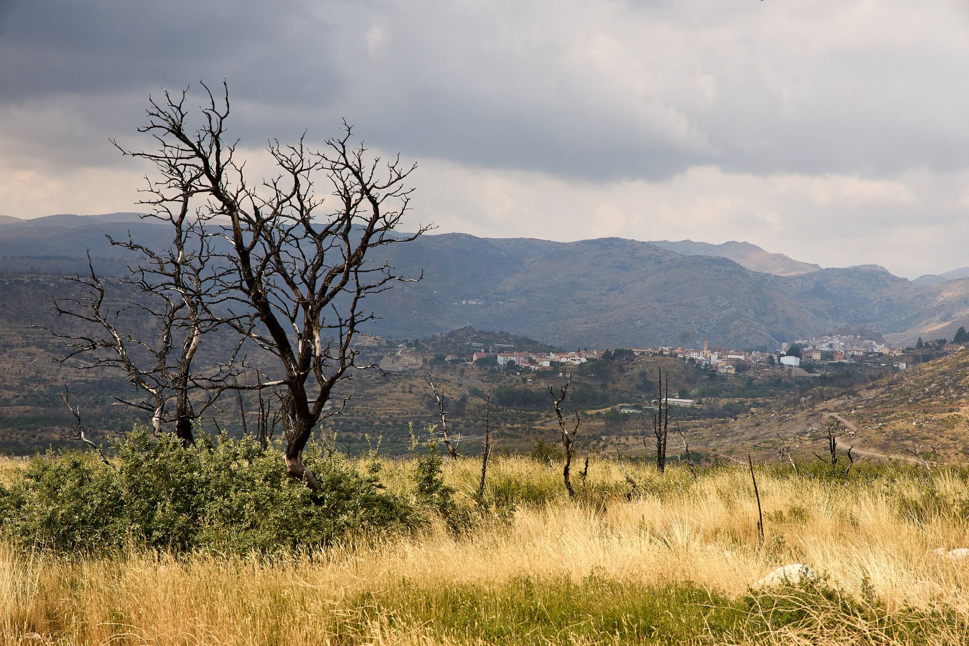 FOTOS | Así está Bejís tres años después del incendio