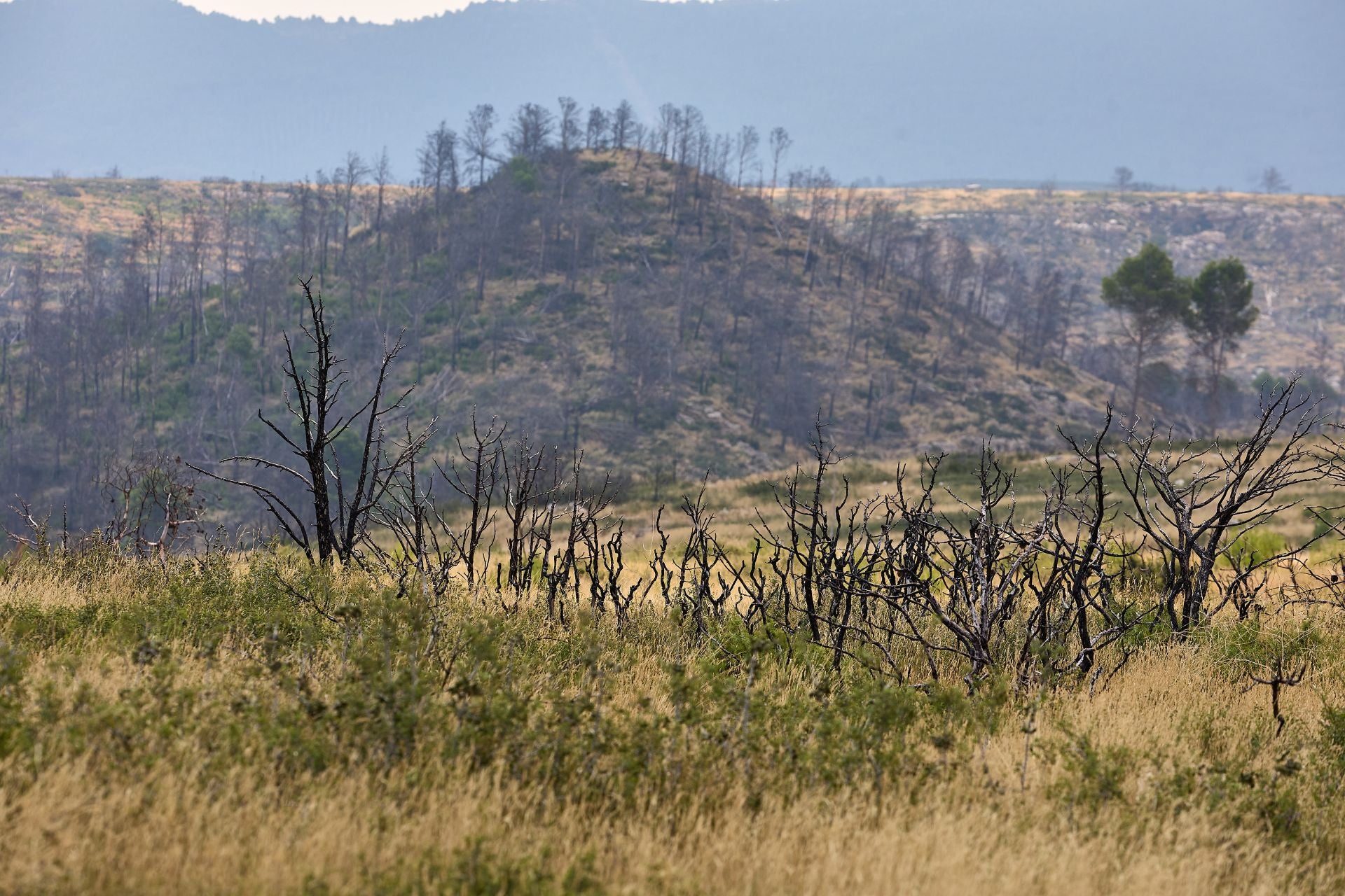 FOTOS | Así está Bejís tres años después del incendio