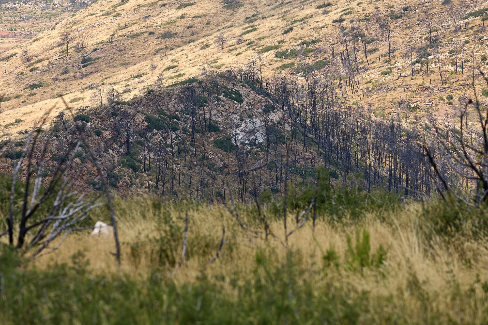 FOTOS | Así está Bejís tres años después del incendio
