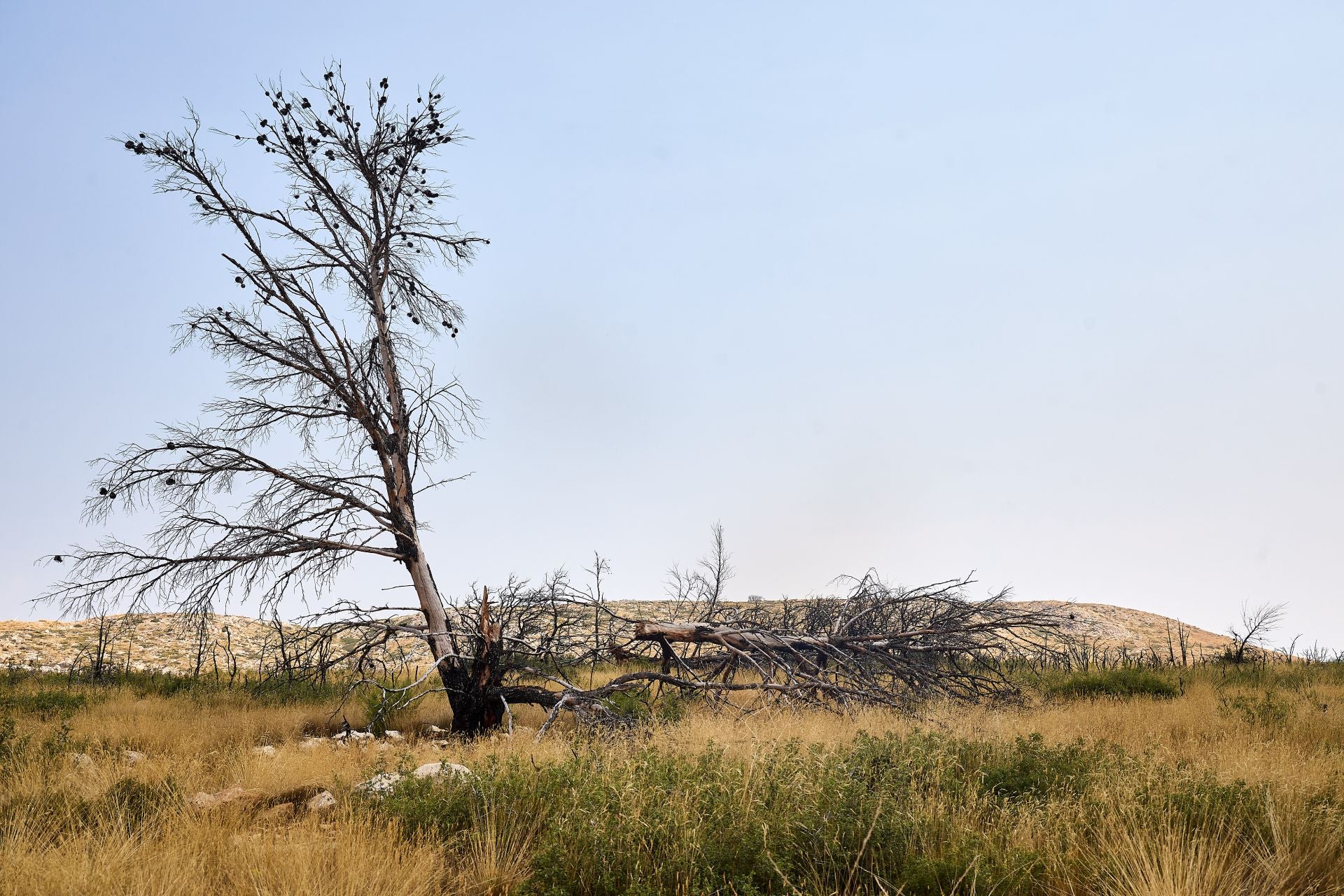 FOTOS | Así está Bejís tres años después del incendio