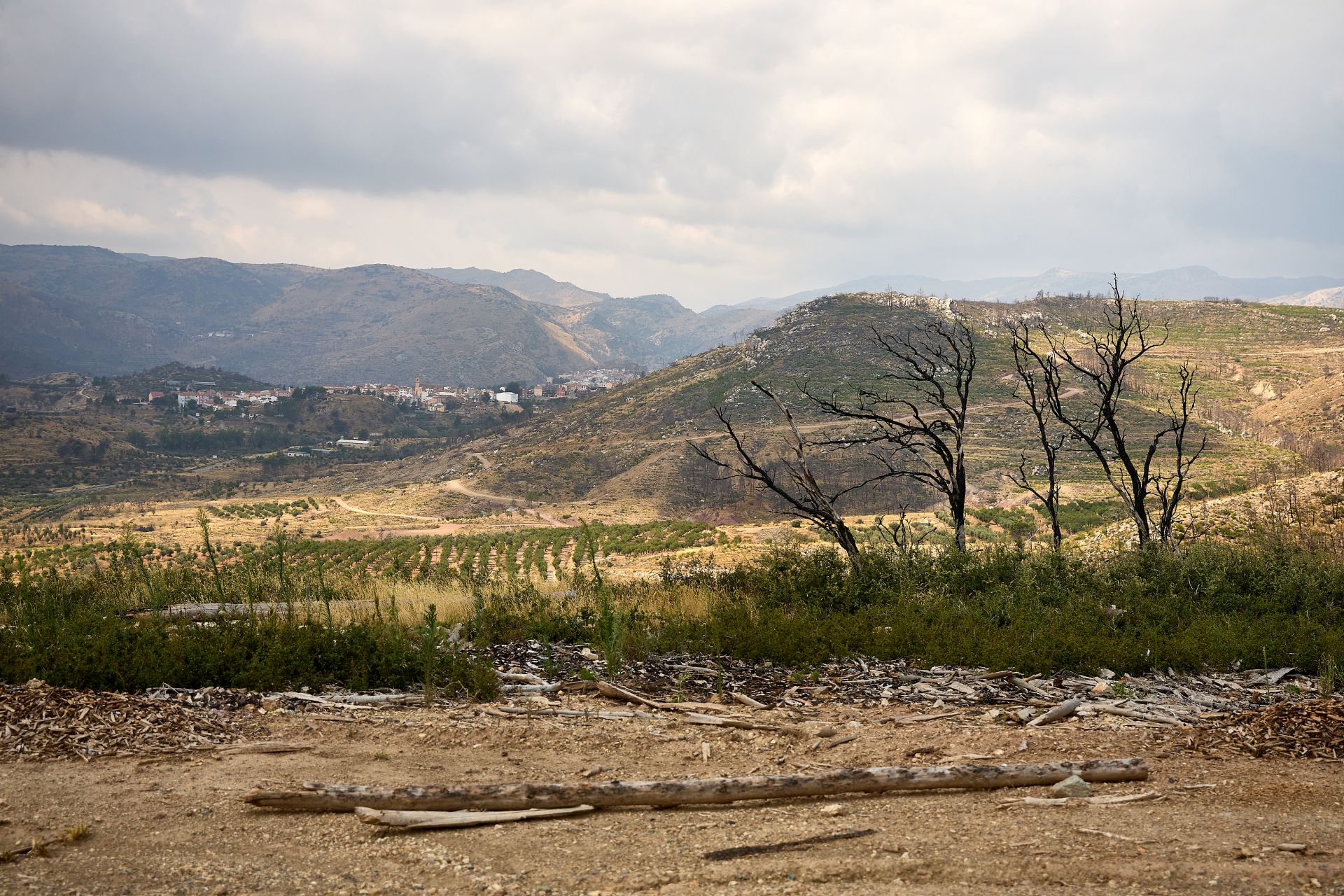 FOTOS | Así está Bejís tres años después del incendio