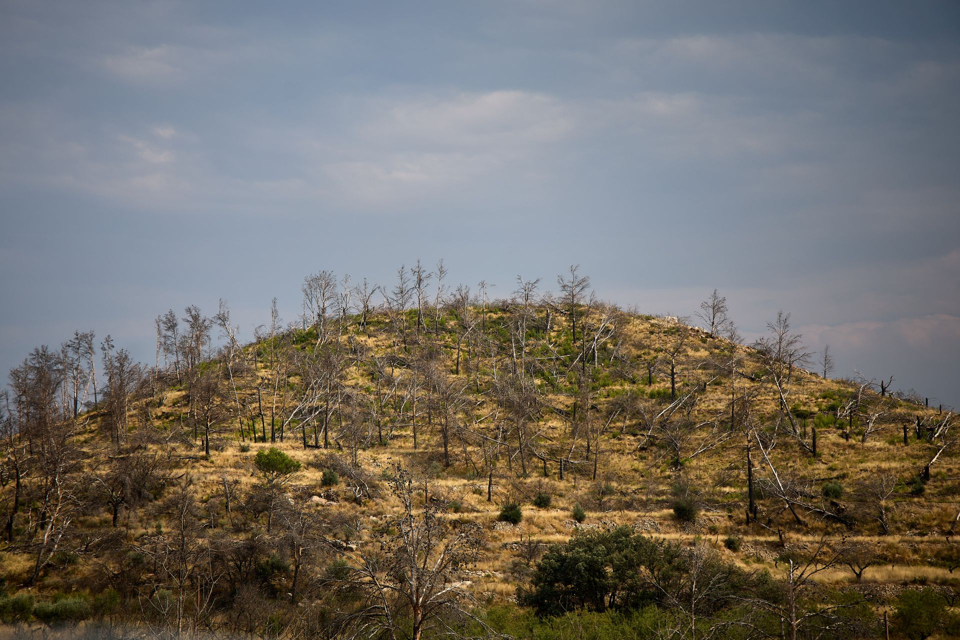 FOTOS | Así está Bejís tres años después del incendio