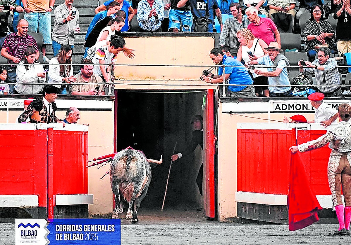 El toro Tapabocas de vuelta a las dehesas.