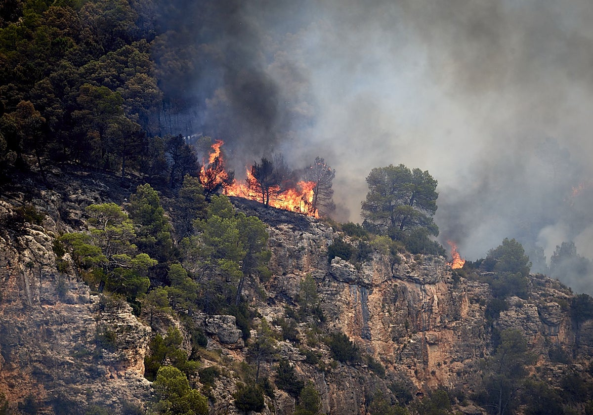 Llamas en el incendio de Teresa de Cofrentes.