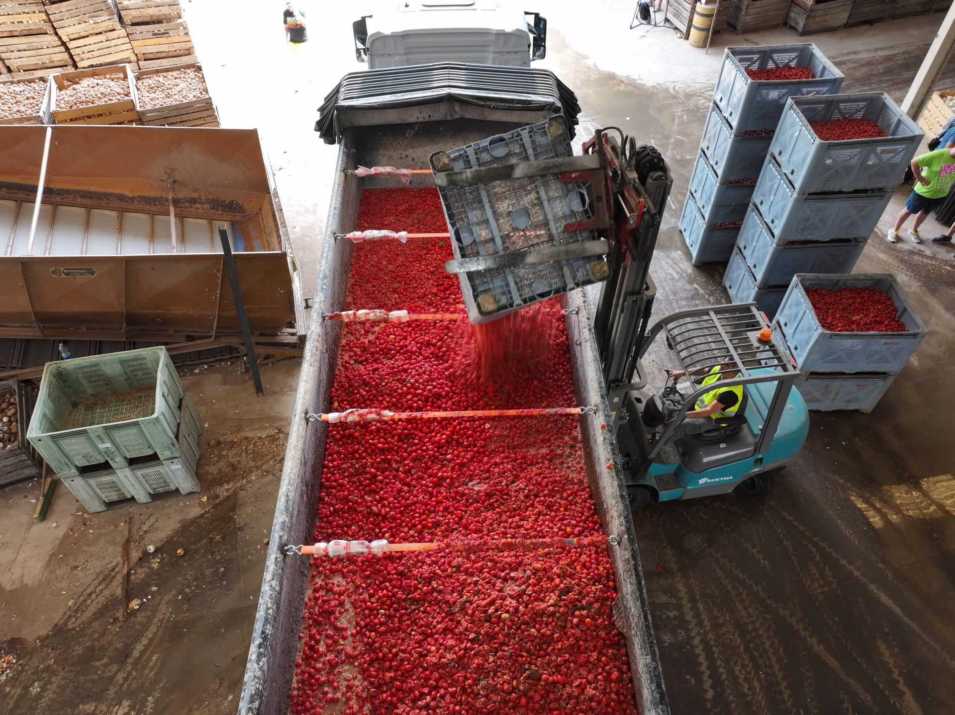 FOTOS | Tomatina de Buñol 2025