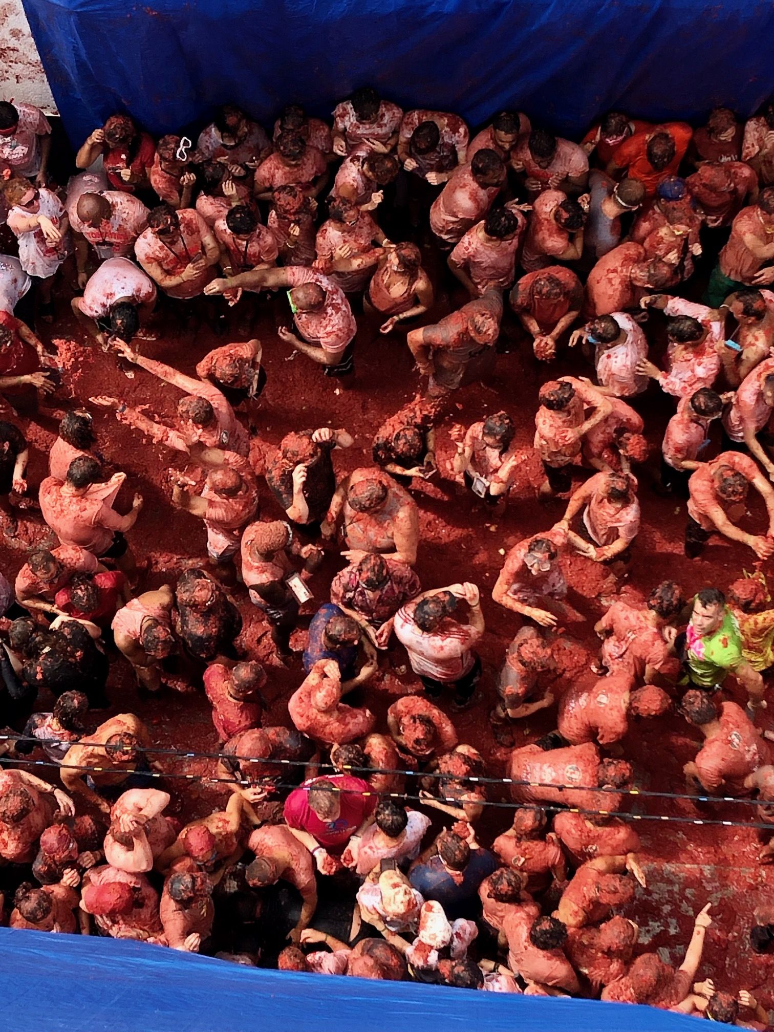 FOTOS | Tomatina de Buñol 2025