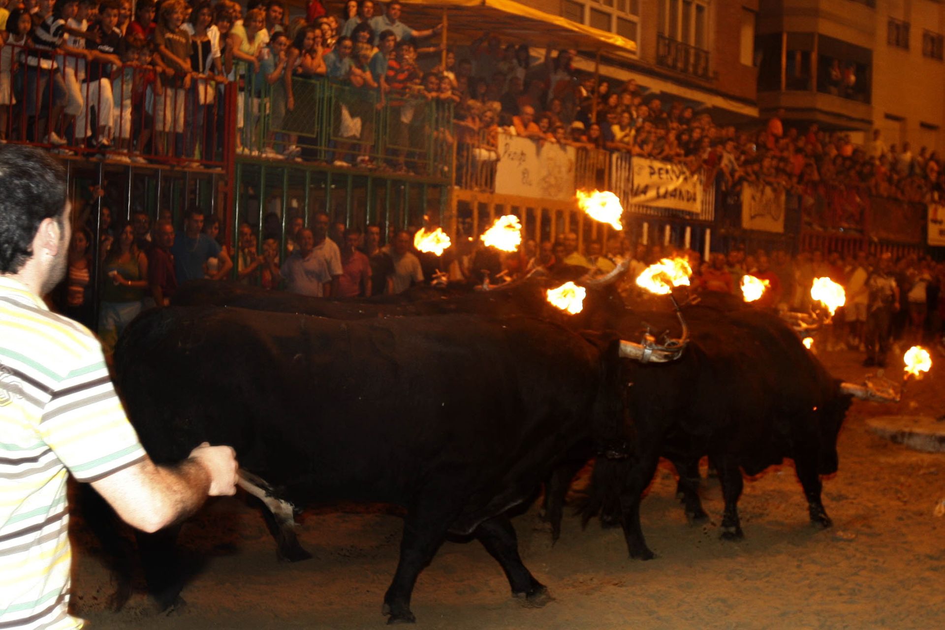 Encierro de Toros Embolados, Burriana