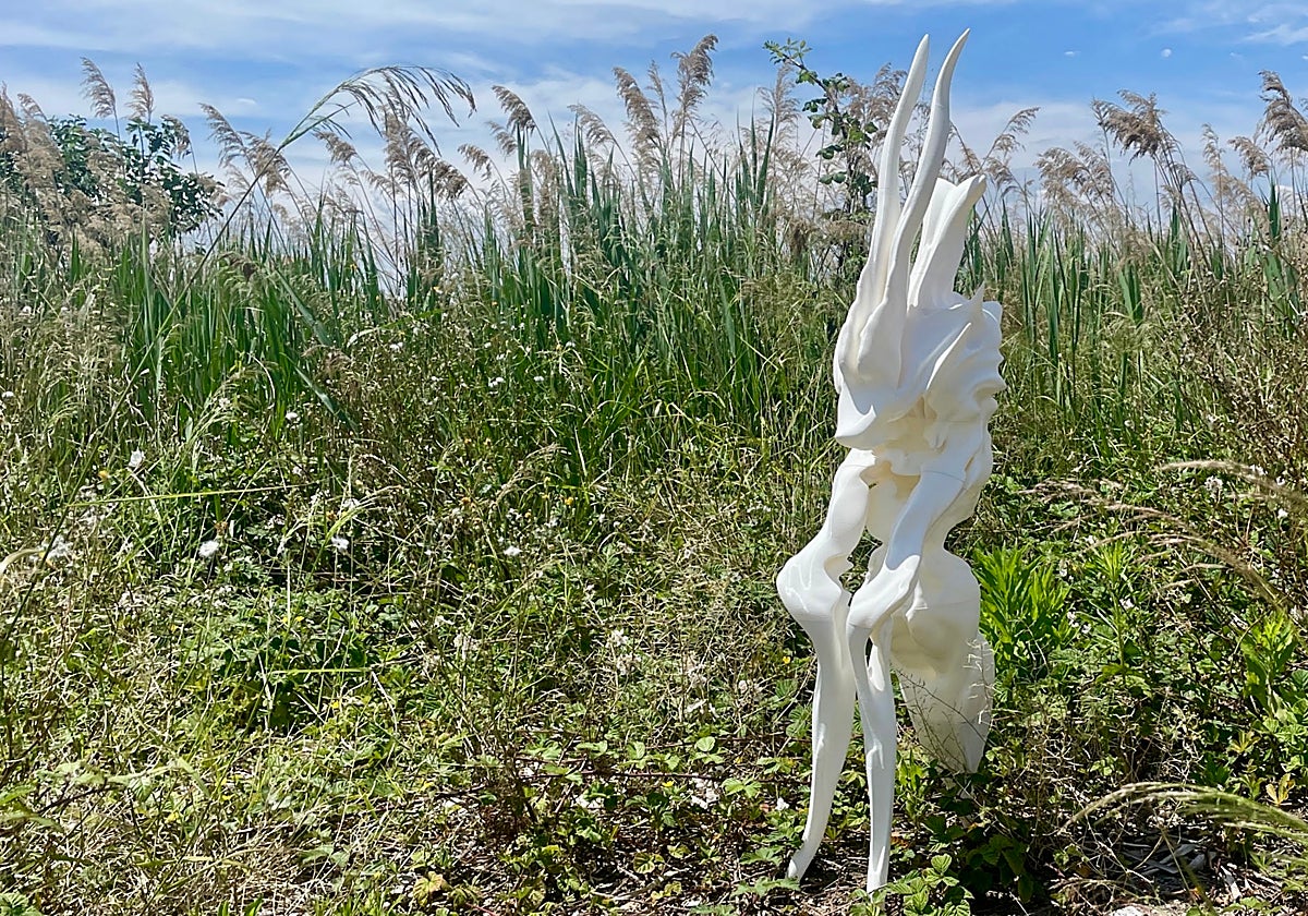 Obra del artista Manel Bafaluy.