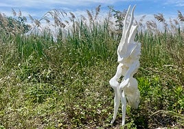 Obra del artista Manel Bafaluy.