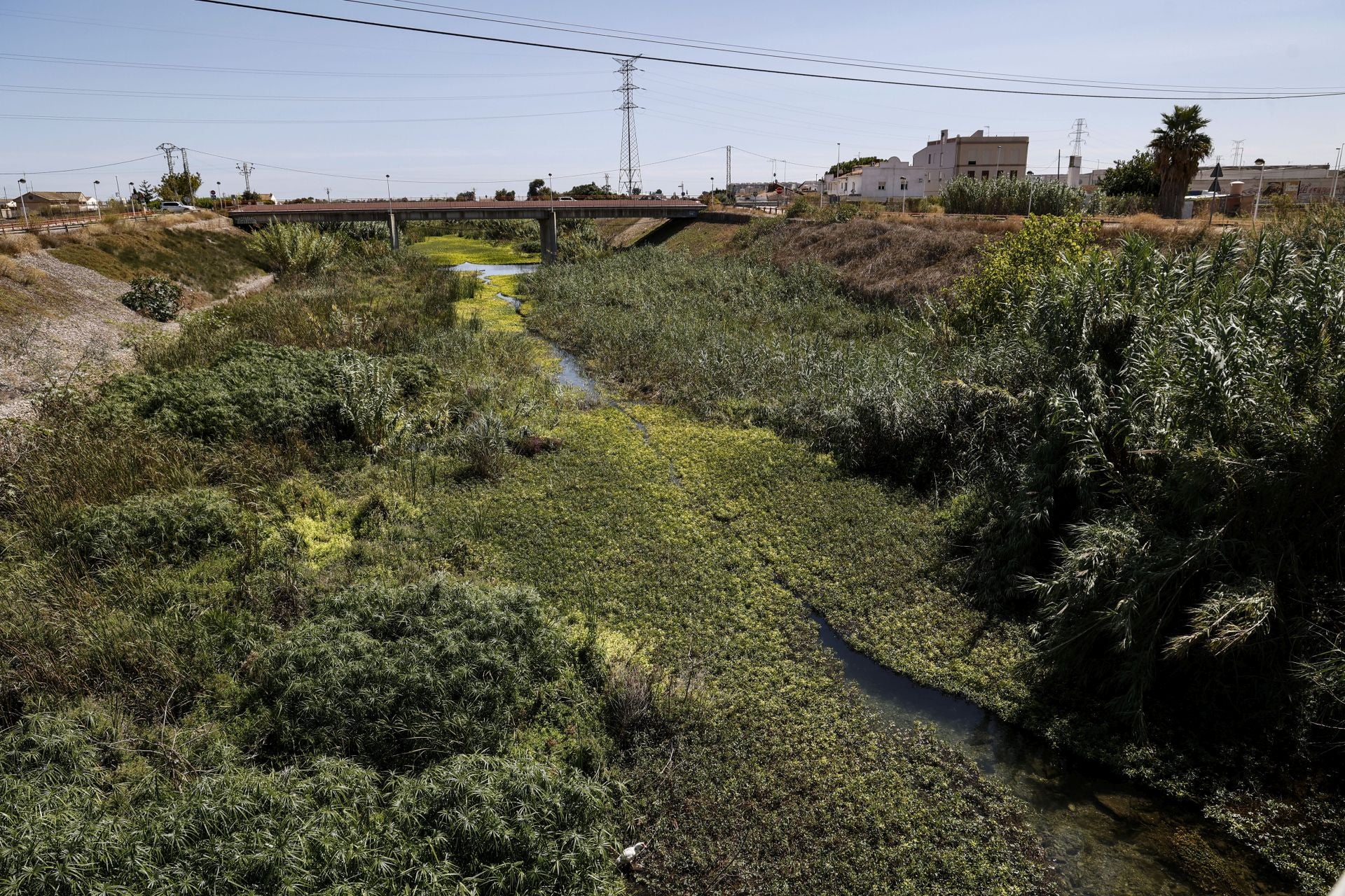 FOTOS | El cauce del Carraixet, repleto de vegetación
