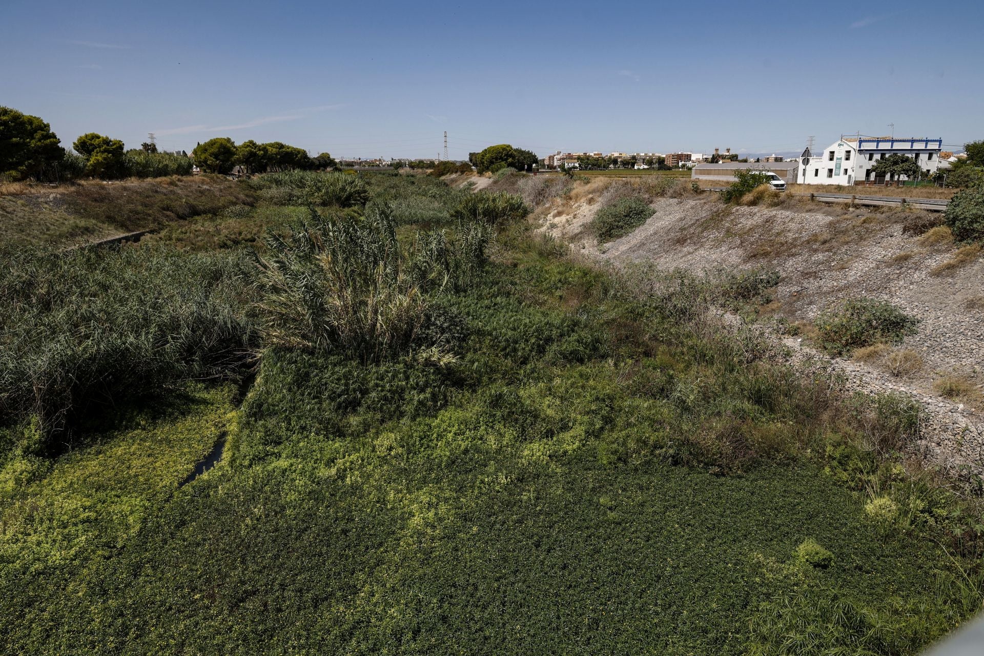 FOTOS | El cauce del Carraixet, repleto de vegetación
