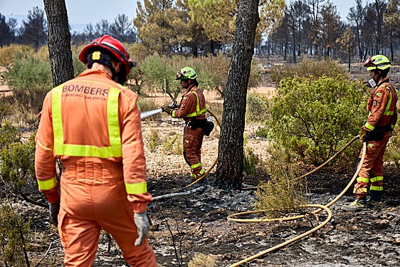 Incendio en Teresa de Cofrentes.
