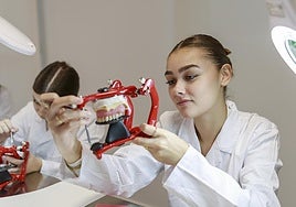 Estudiantes de Formación Profesional.