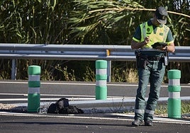 Un agente de la Guardia Civil de Tráfico en otro accidente mortal de un motorista.