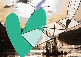 El SOS de la Albufera: más dinero, menos confrontación