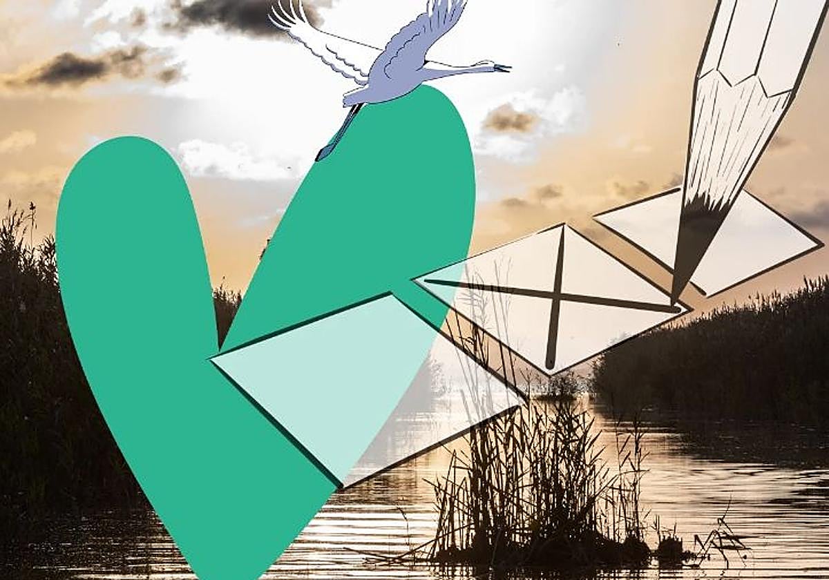 El SOS de la Albufera: más dinero, menos confrontación