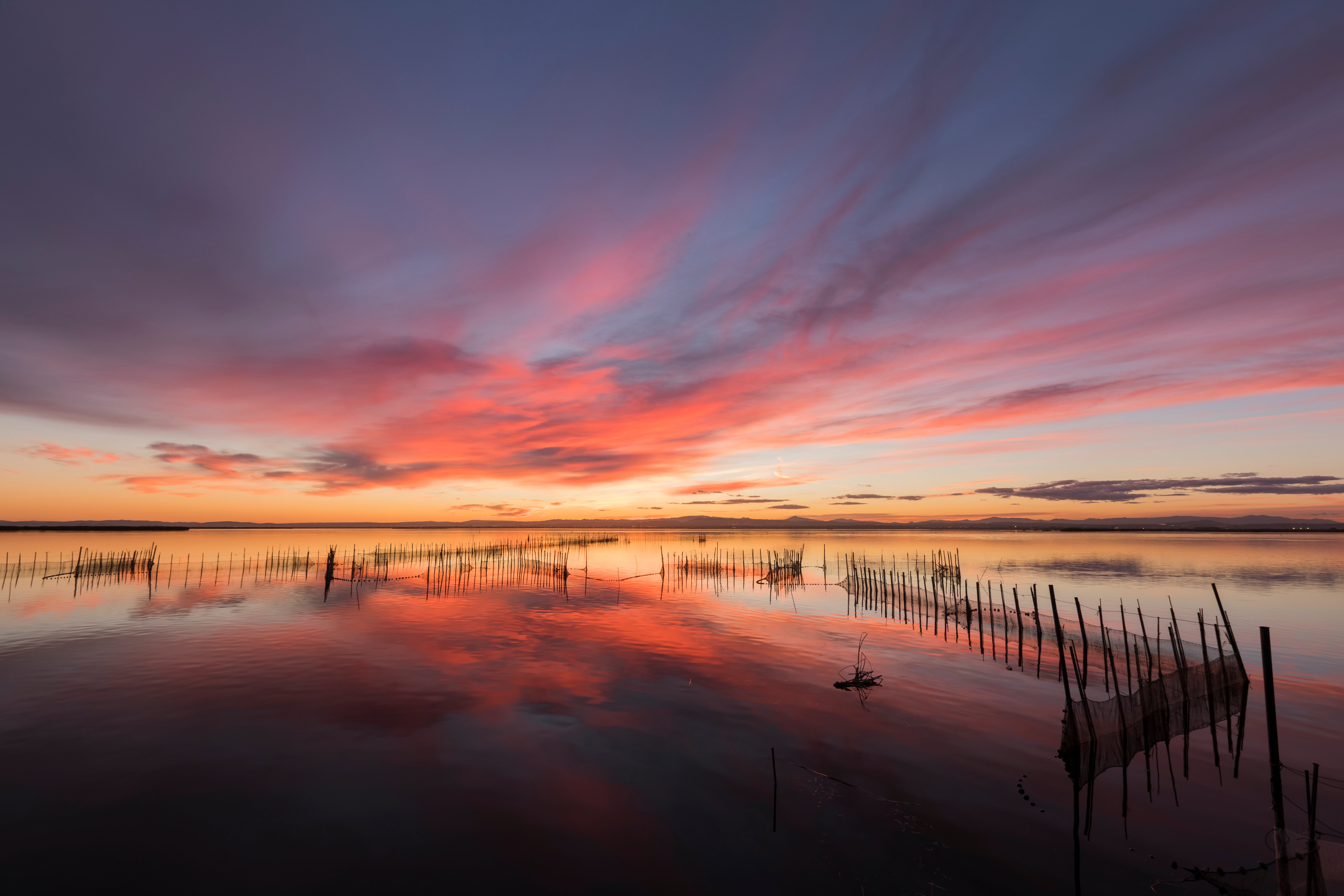 Imagen principal - Disfruta de los mejores arroces en el Parque Natural de L&#039;Albufera