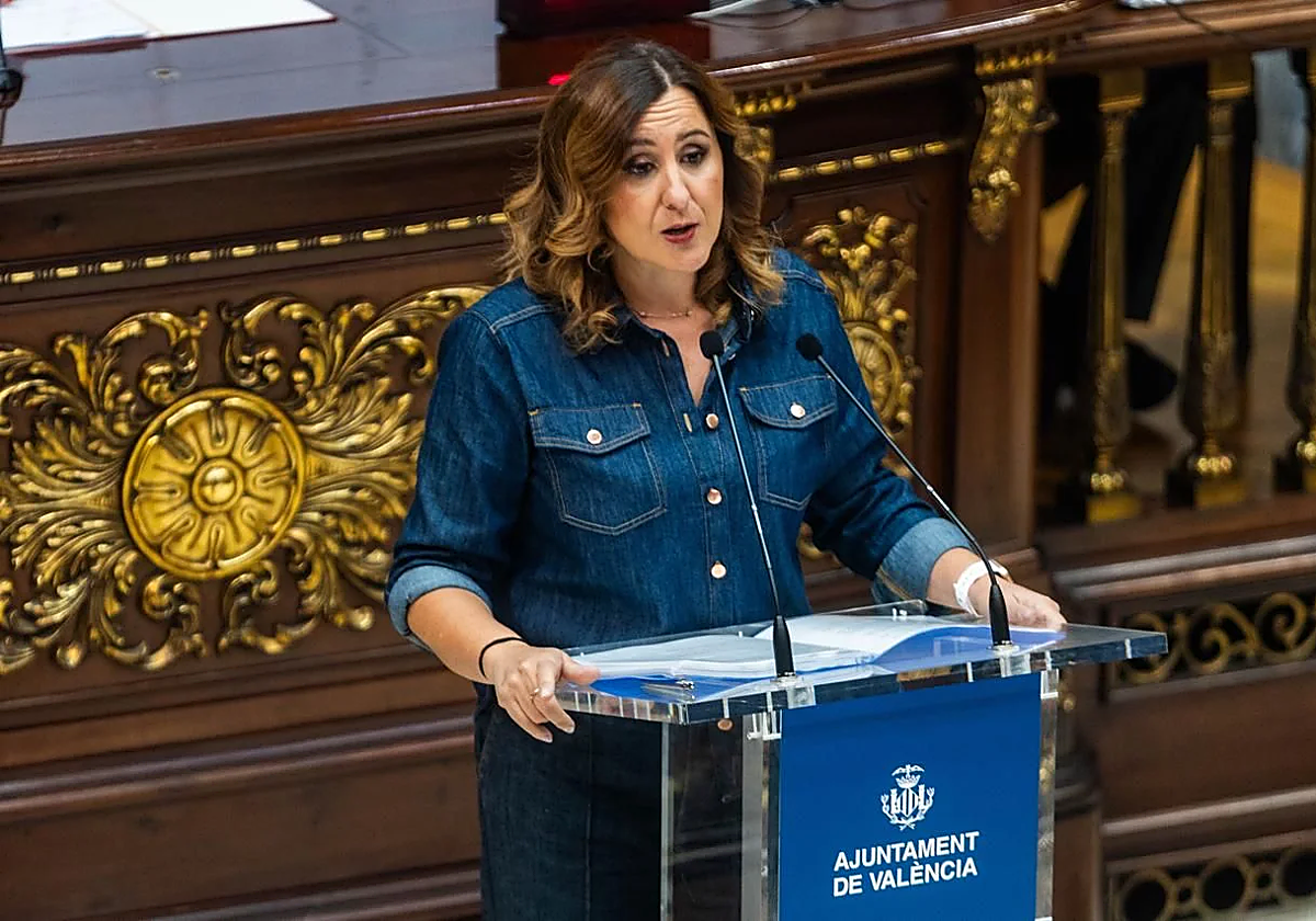 Catalá, durante el pleno extraordinario.