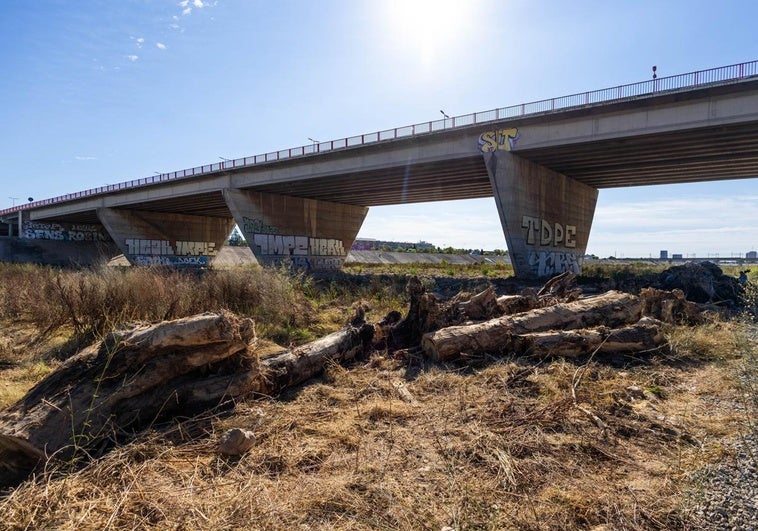 El Ayuntamiento instalará cámaras en el nuevo cauce del Turia para vigilar crecidas